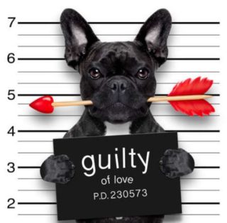 Are You Guilty Of LOVE?!