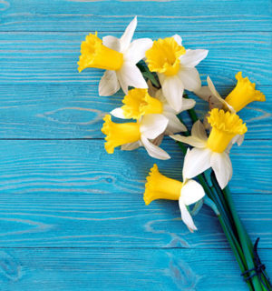 Spring Beauty Guide