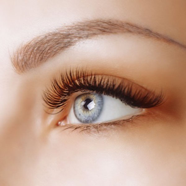 LASHES & BROWS